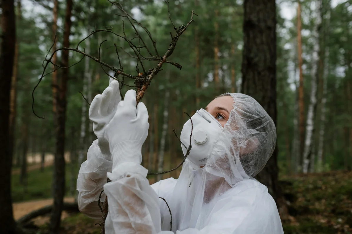 A person in protective gear safely removing a hornet nest A person in protective gear safely removing a hornet nest