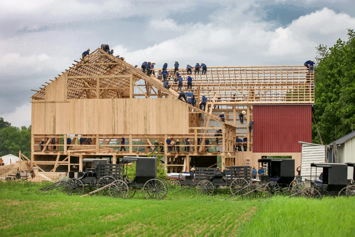 Build a Bluebird House Using Just One Cedar Board