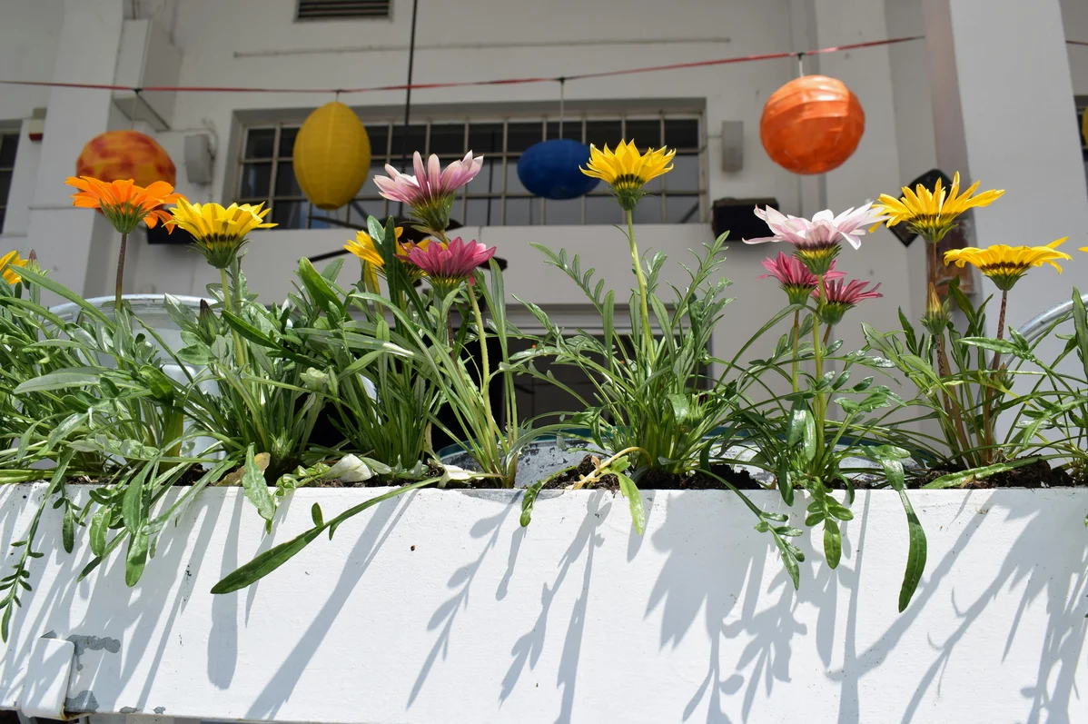 Transform Old Egg Cartons Into Whimsical Hanging Decor