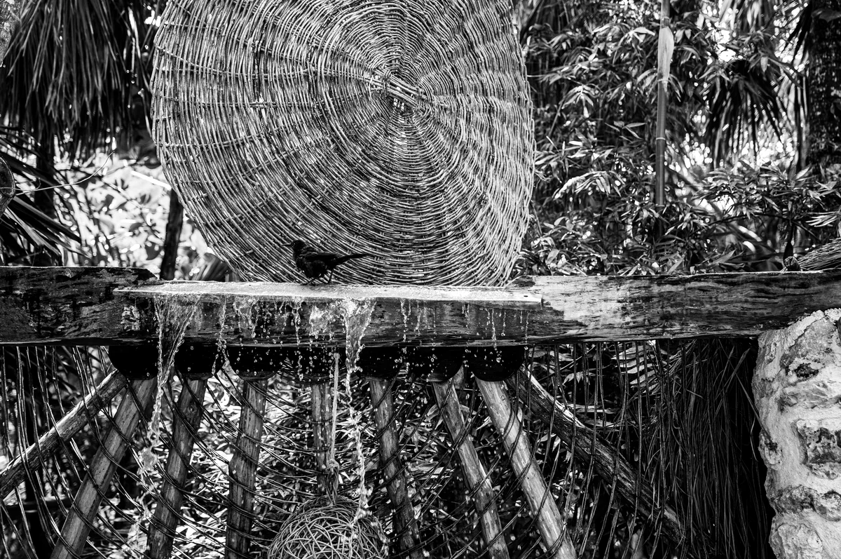 Wood and tools needed for DIY birdbath Wood and tools needed for DIY birdbath