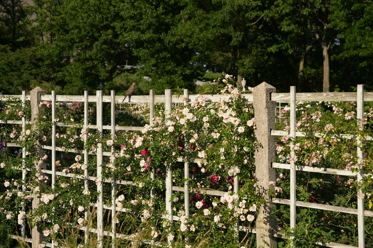 Transform Your Backyard Tonight with These Easy DIY Updates