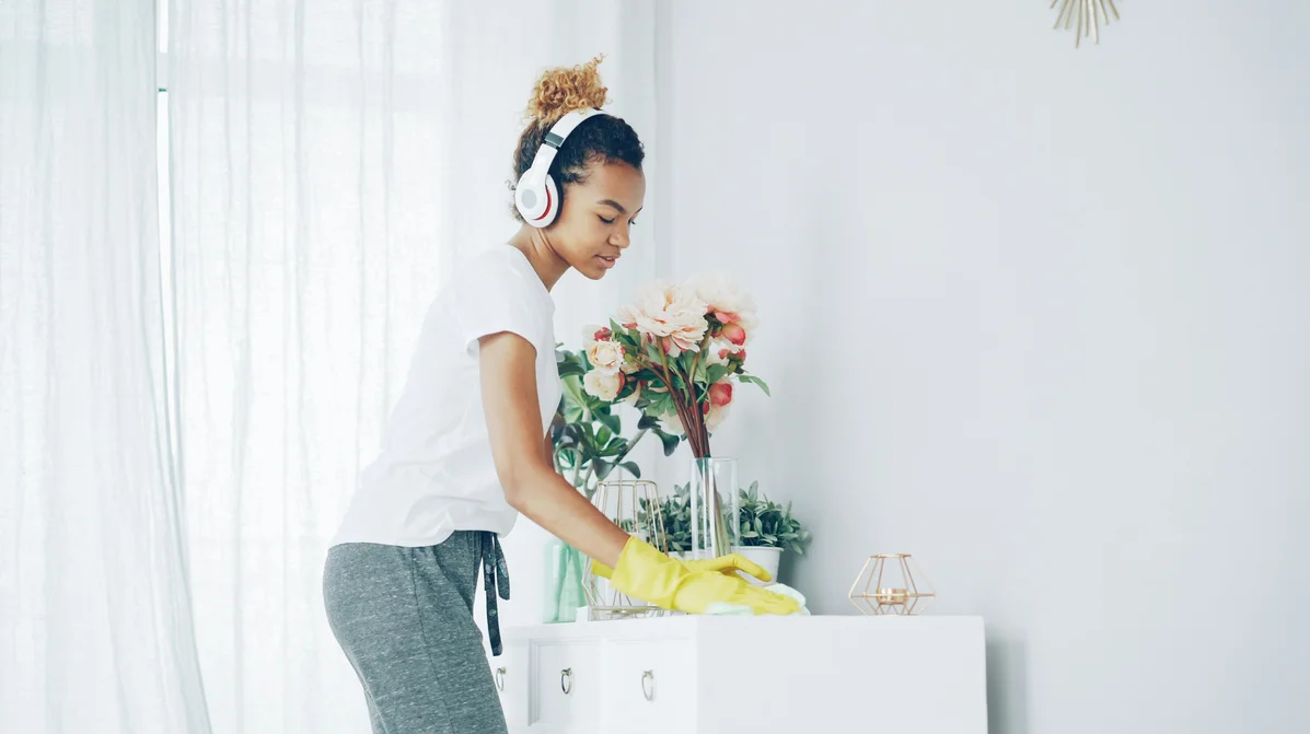 Why You Should Replace Your Feather Duster with Better Tools