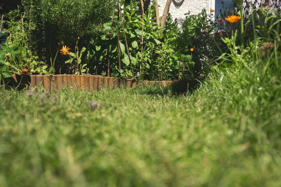 Beautifully maintained garden bed free of debris Beautifully maintained garden bed free of debris