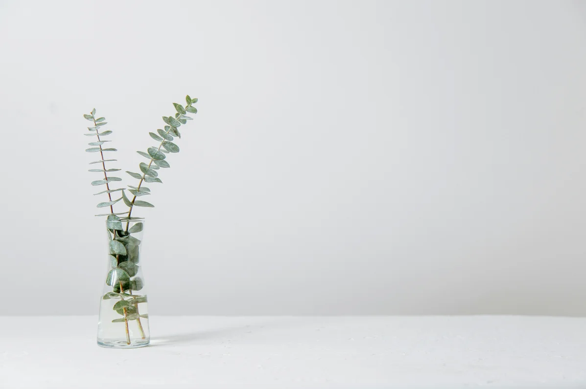 Clear vase with water and faux plants arranged inside Clear vase with water and faux plants arranged inside
