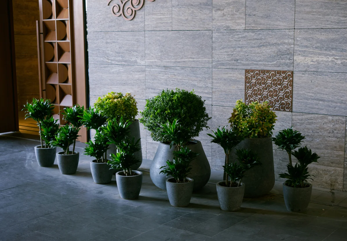 4 Secrets to Make Fake Plants Look Real and Lively