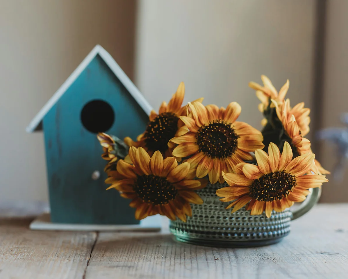 Seasonal floral arrangements using mason jars Seasonal floral arrangements using mason jars