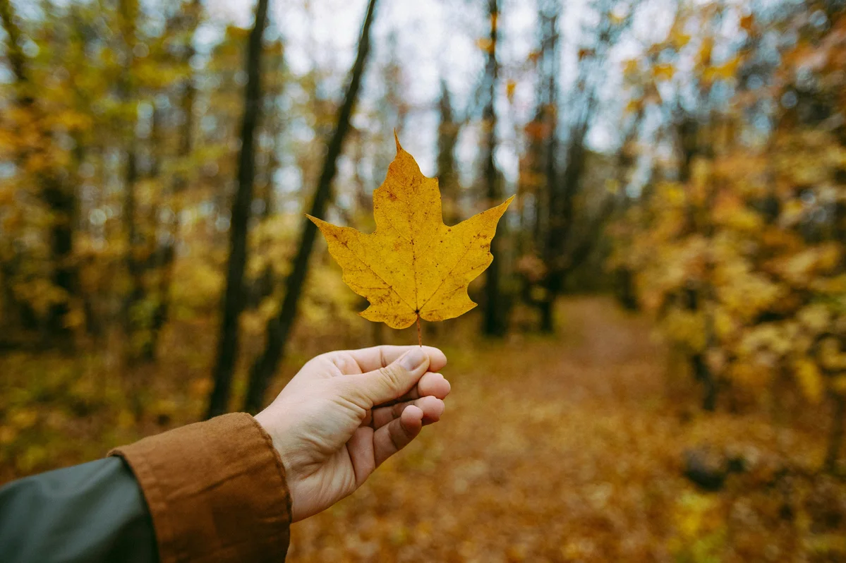 7 Tips to Optimize Your Walks for Better Healthspan and Longevity