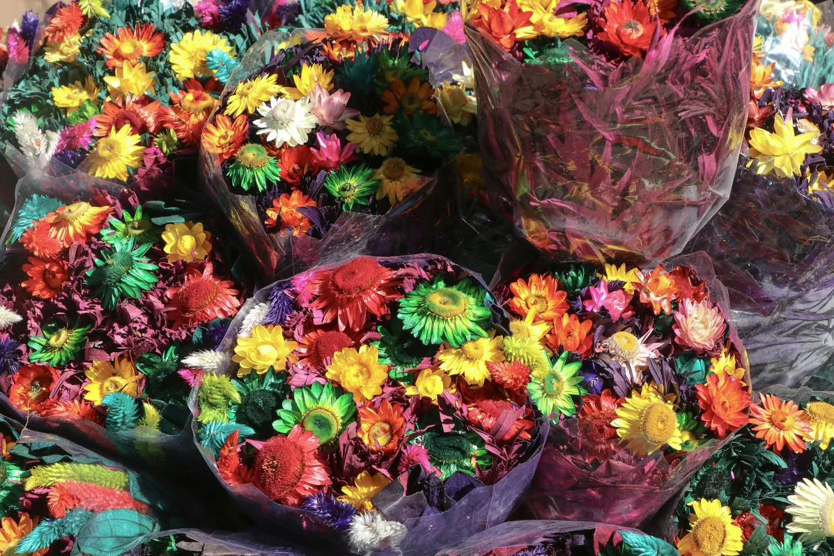 Turn Paper Towels into Stunning Floral Decor in Minutes