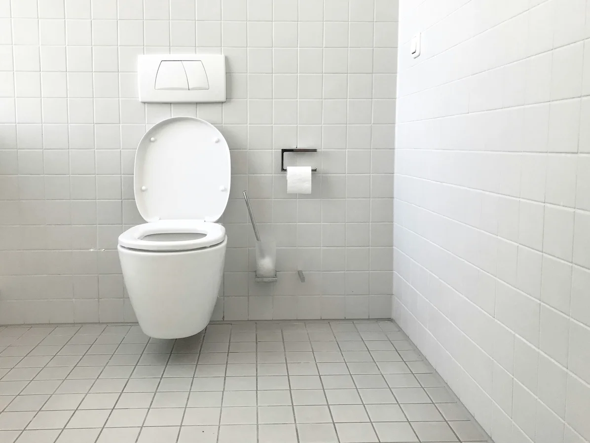 Various types of toilet seats including plastic and wooden options Various types of toilet seats including plastic and wooden options