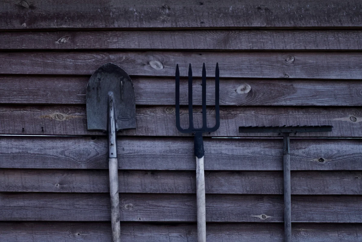 variety of garden decorations including a shovel, plants, and lights variety of garden decorations including a shovel, plants, and lights