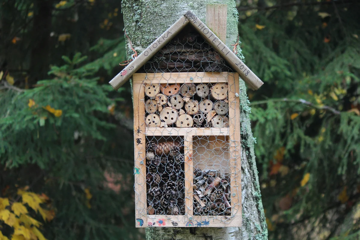 Natural materials like twigs and leaves used for creating a bug house Natural materials like twigs and leaves used for creating a bug house