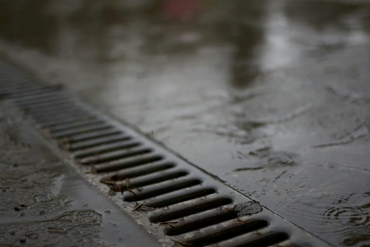 Shower Drain Smell? You Won't Believe What's Causing It