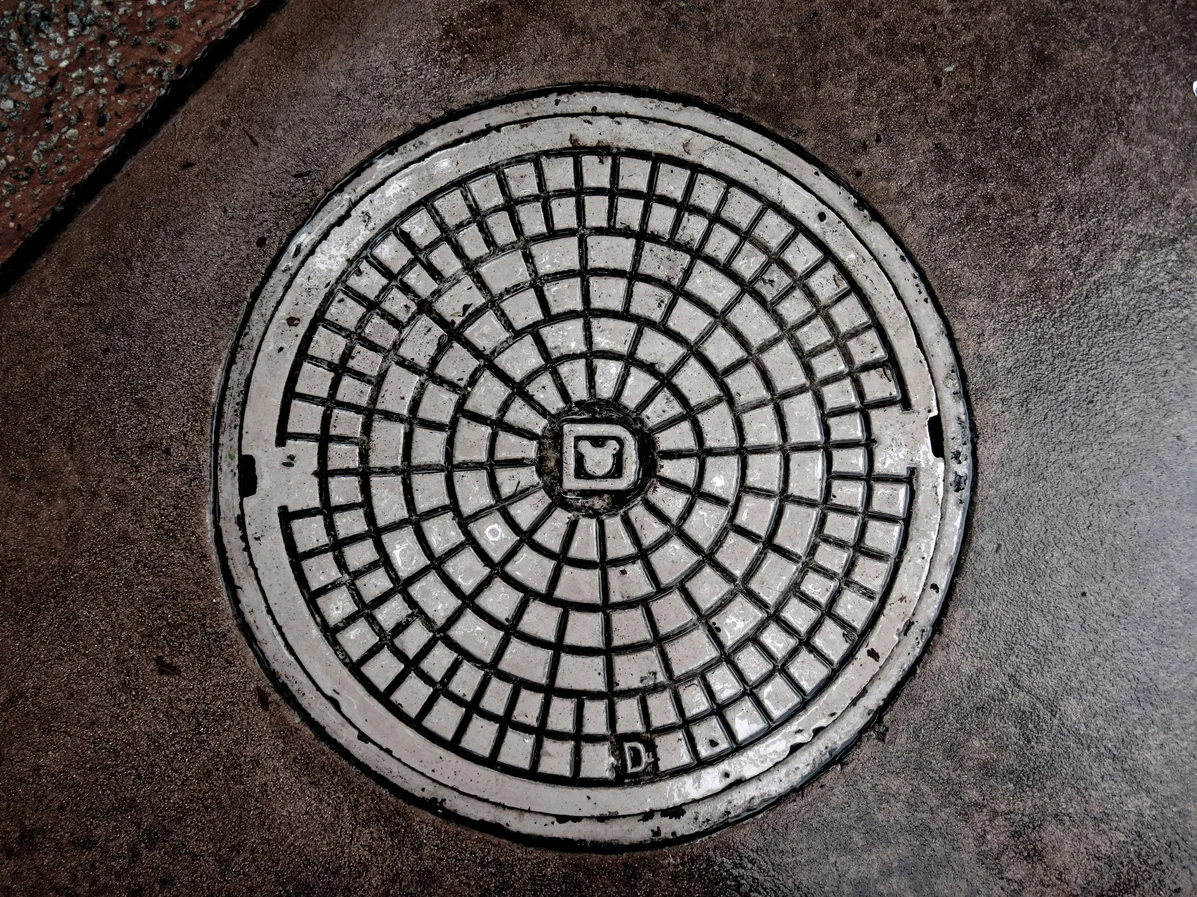 A well-maintained shower drain preventing odors A well-maintained shower drain preventing odors