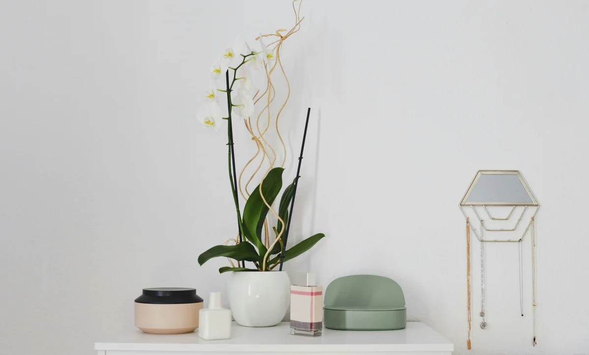 Indoor plants enhancing home decor while helping to cool the environment Indoor plants enhancing home decor while helping to cool the environment