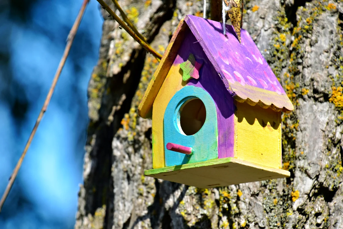 Turn a Thrifted Teapot into a Birdhouse — Create an Artsy Yard Feature