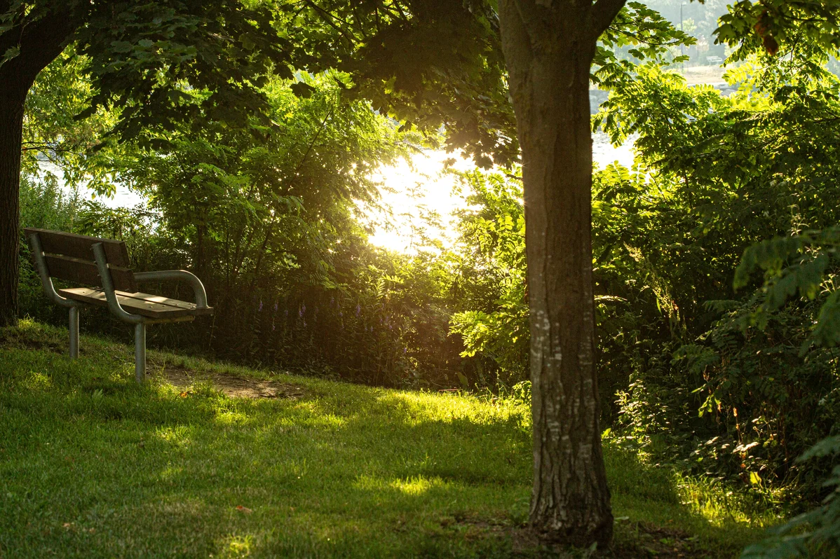 a peaceful outdoor scene with morning light, representing weekend sleep and emotional well-being a peaceful outdoor scene with morning light, representing weekend sleep and emotional well-being